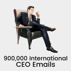 900,000 International CEO-CFO Emails